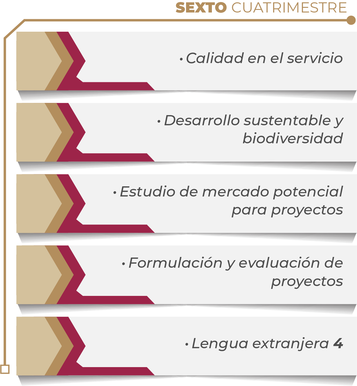 MAPA CURRICULAR SOFTWARE